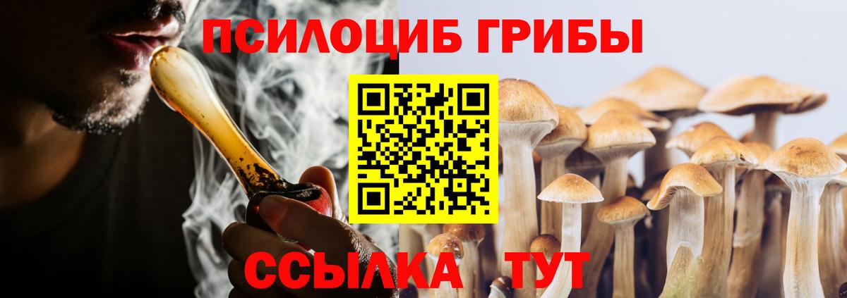 Новочебоксарск  сколько стоит  Вход с VPN  Псилоцибиновые грибы Psilocybe  Галлюциногенные грибы прущие грибы 